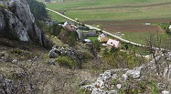 285_TZ60_P1090977_cr