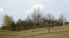 334_TZ60_P1100043_cr