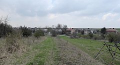 370_TZ60_P1100070_cr