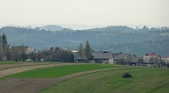 383_TZ60_P1100092_cr