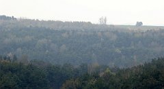 388_TZ60_P1100101_cr