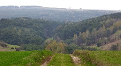 389_TZ60_P1100102_cr