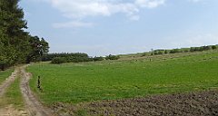 420_TZ60_P1100128_cr