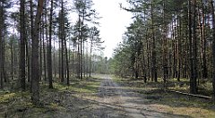 425_TZ60_P1100133_cr