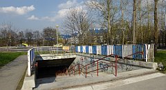 445_TZ60_P1100153_cr