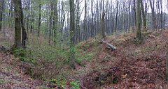 030_TZ60_P1100185_cr