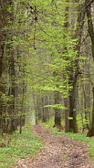 035_TZ60_P1100189_cr