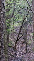 060_TZ60_P1100212_cr