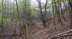 062a_TZ60_P1100213_cr