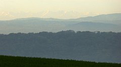 086_TZ60_P1100246_cr