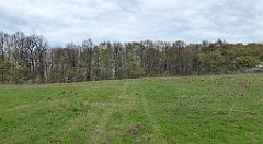 239_TZ60_P1100392_cr