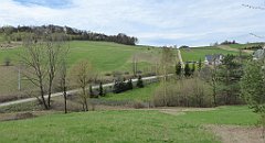 294_TZ60_P1100442_cr