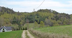 304_TZ60_P1100453_cr