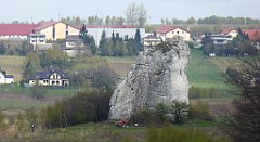 323_TZ60_P1100475_cr