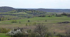 338_TZ60_P1100493_cr