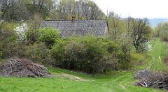 351_TZ60_P1100510_cr