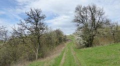 355_TZ60_P1100514_cr