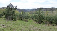 357_TZ60_P1100516_cr