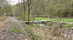 429_TZ60_P1100556_cr