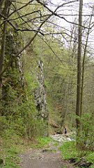 440_TZ60_P1100566_cr