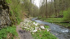 442_TZ60_P1100568_cr