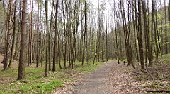 445_TZ60_P1100571_cr