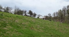 466_TZ60_P1100580_cr