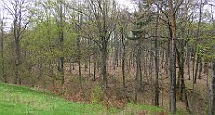 467_TZ60_P1100581_cr