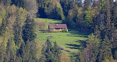 011_TZ60_P1100737_cr