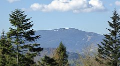 034_TZ60_P1100762_cr