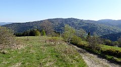 051_TZ60_P1100782_cr