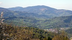 056_TZ60_P1100787_cr