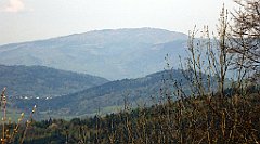 058_TZ60_P1100789_cr