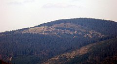 075_TZ60_P1100812_cr