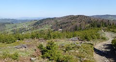 089_TZ60_P1100830_cr