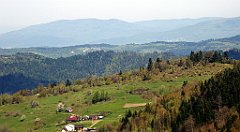 095_TZ60_P1100841_cr