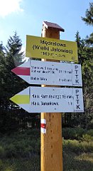 111_TZ60_P1100859_cr