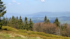 116_TZ60_P1100864_cr