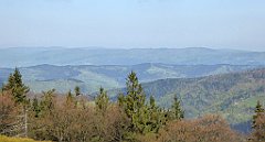 117_TZ60_P1100867_cr