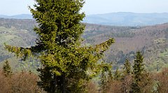 120_TZ60_P1100872_cr