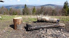 122_TZ60_P1100876_cr