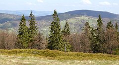 124_TZ60_P1100878_cr