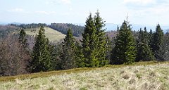 127_TZ60_P1100883_cr