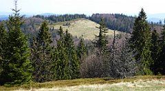 131_TZ60_P1100887_cr