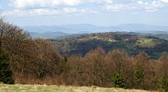 138_TZ60_P1100895_cr