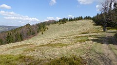 148_TZ60_P1100910_cr