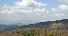 190_TZ60_P1100971_cr