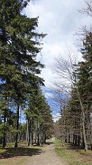 205_TZ60_P1100992_cr