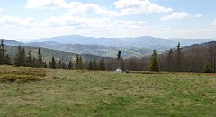 224_TZ60_P1110016_cr