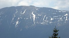 233_TZ60_P1110027_cr